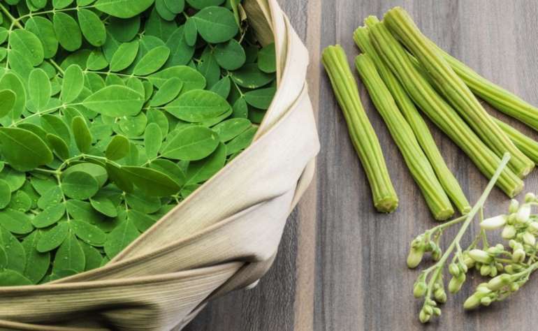 Conheça a Moringa, um superalimento - Blog Nature Center
