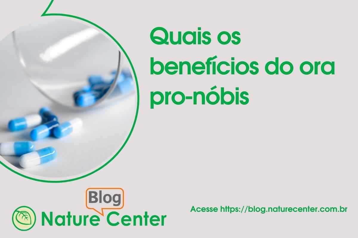 Benefícios e onde encontrar ora pro-nóbis (3)